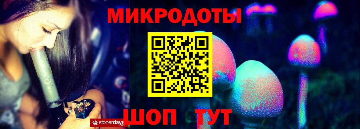 Саяногорск  Псилоцибиновые грибы Psilocybe  Вход с VPN 